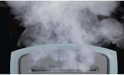Fast Wrinkle Removal Steamer