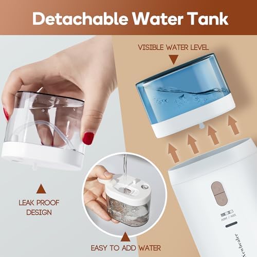 Dual Voltage Garment Steamer