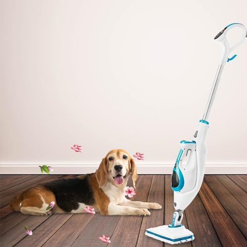 debtle Snack 24-Piece Scent Disc Set