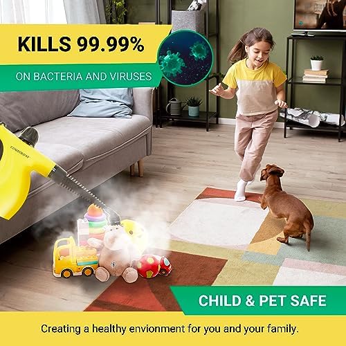 Comforday Stain Master Steam Cleaner