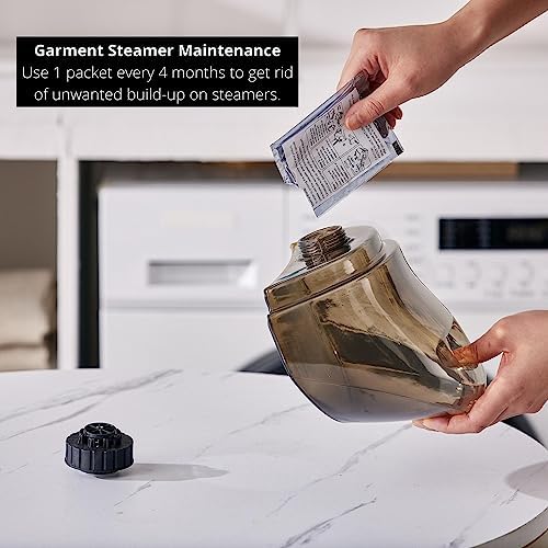 Streamline Daily Wardrobe - Salav Performance Series Upright Garment Steamer Set