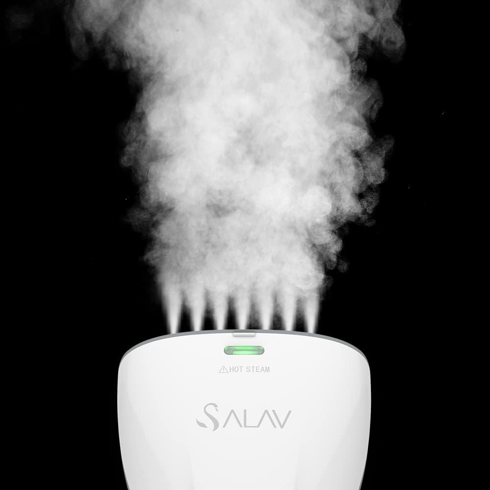 Fast Powerful garment steamer