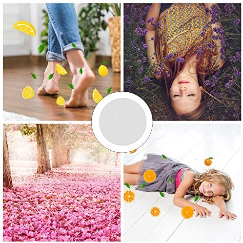 debtle Snack 24-Piece Scent Disc Set