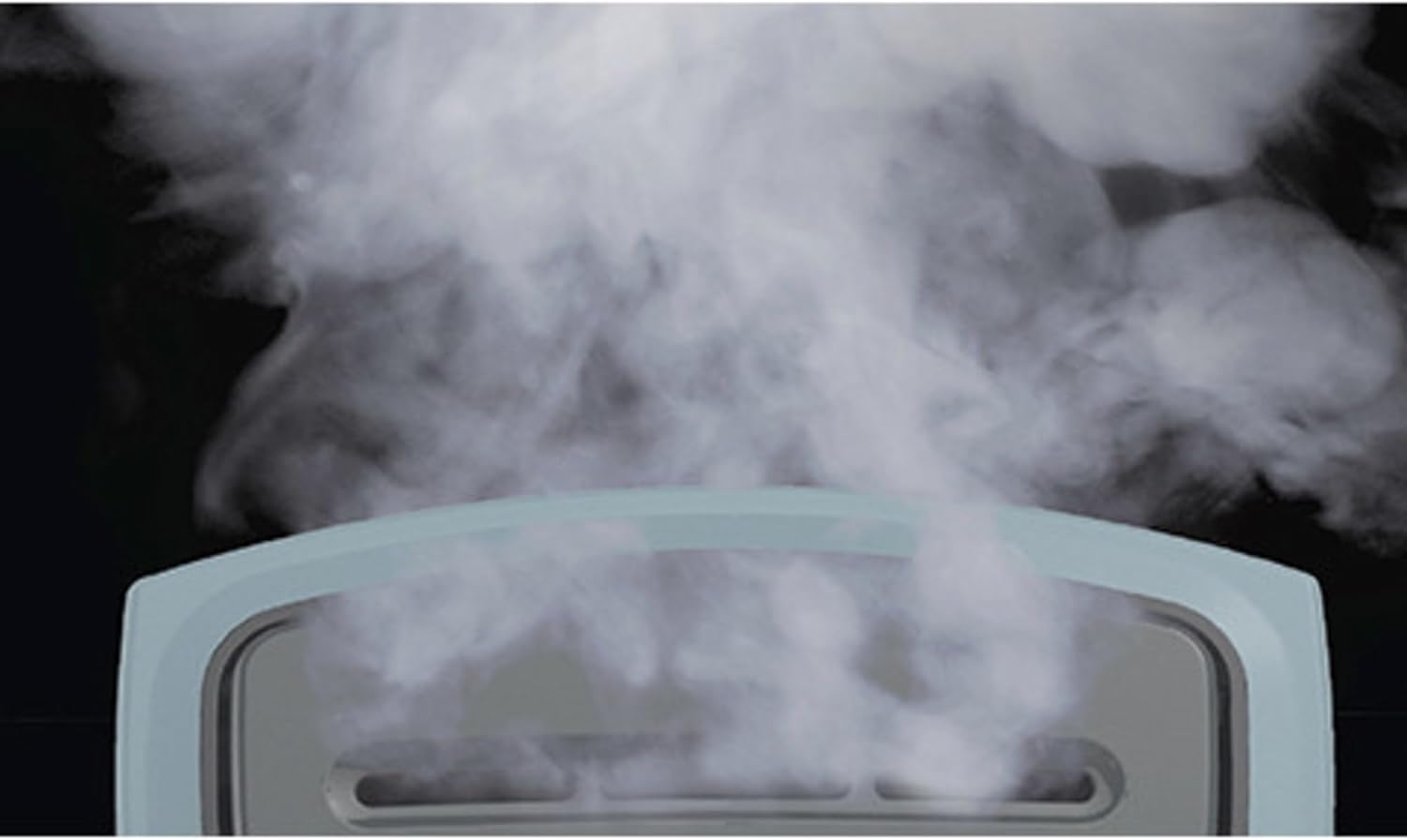 Fast Wrinkle Removal Steamer
